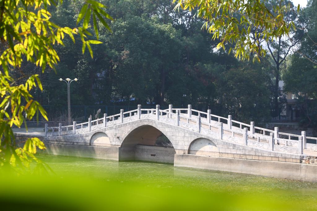 武汉市江夏区阳光大道1号 邮政编码
